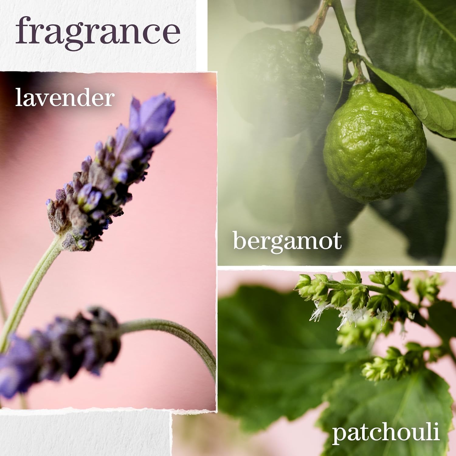 Pureology Hydrate Moisturizing Shampoo, For Medium to Thick Color-Treated Hair, Adds Shine & Softness, With Green Tea Extract, Vegan & Sulfate-Free Formula