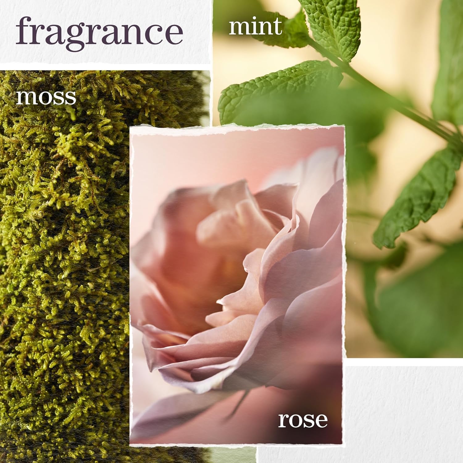 Pureology Hydrate Sheer Nourishing Conditioner, For Fine, Colored & Dry Hair, Infused with Wheat Protein, Vitamin E & Eucalyptus Leaf Extract, Vegan & Sulfate-Free Formula