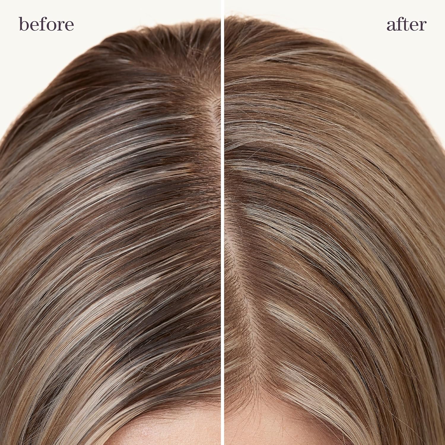 Pureology Style + Protect Refresh and Go Dry Shampoo, For Colour-Treated Hair, For Fine to Thick and Straight to Curly Hair , Absorbs Oil and adds Movement, Vegan, Sulfate-free, Paraben-Free, 150 g