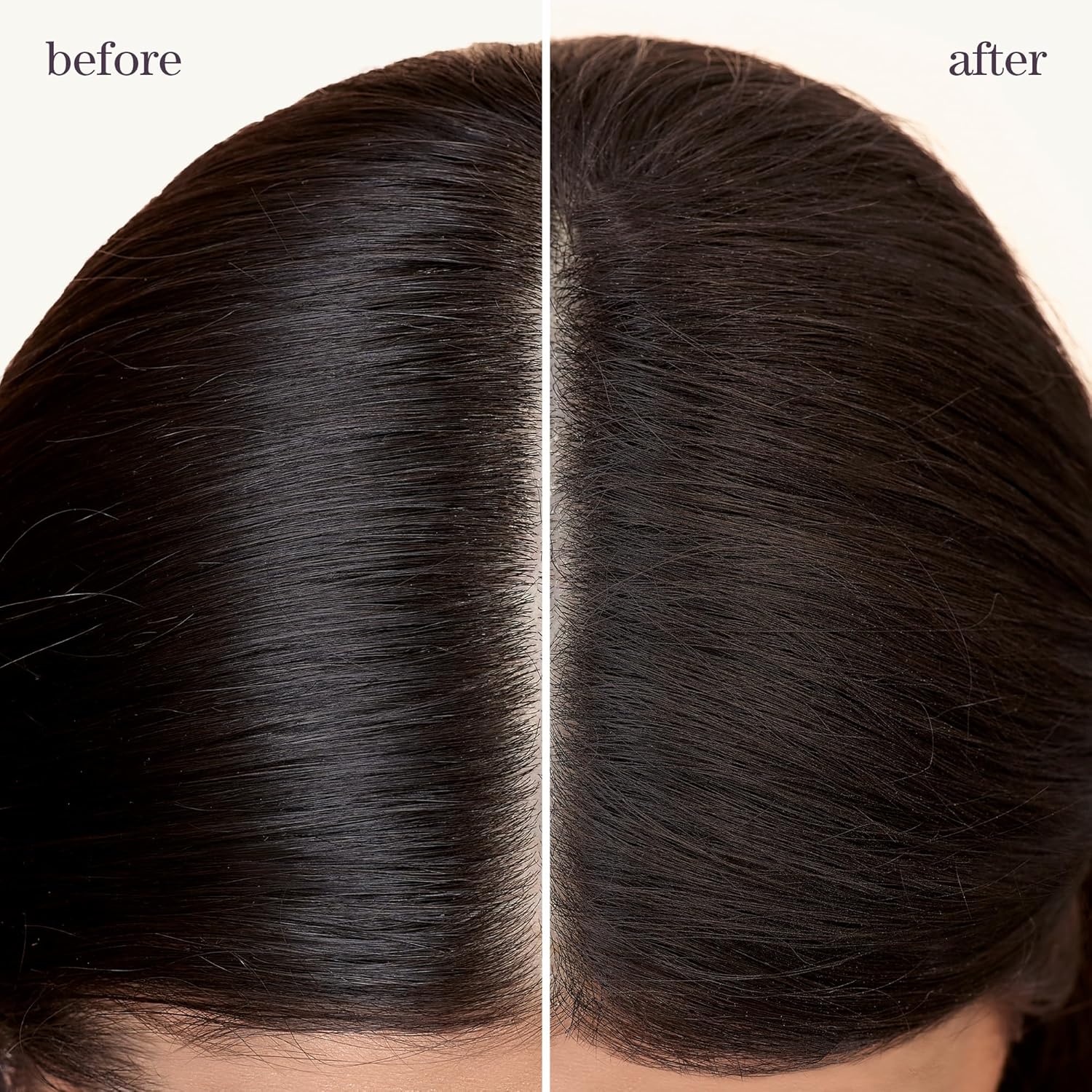 Pureology Style + Protect Refresh and Go Dry Shampoo, For Colour-Treated Hair, For Fine to Thick and Straight to Curly Hair , Absorbs Oil and adds Movement, Vegan, Sulfate-free, Paraben-Free, 150 g